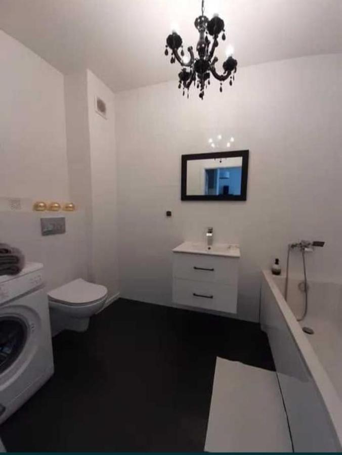 Apartament Sosnkowskiego 5 ゴジュフ・ヴィエルコポルスキ エクステリア 写真
